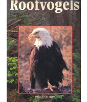 Roofvogels